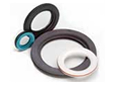 pic-spring-energized-seals-design4