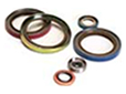 pic-spring-energized-seals-design5